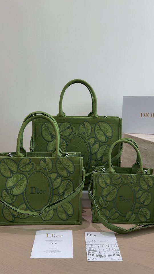 Dior Book Tote with Decorative Panels — comparison