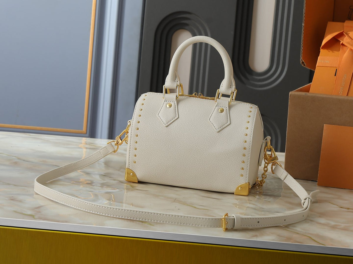 Louis Vuitton Speedy Trunk Handbag — back