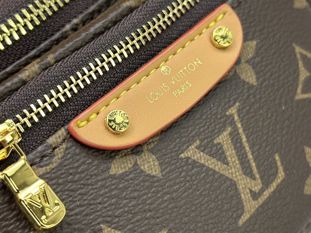 Louis Vuitton Monogram Bumbag — detail