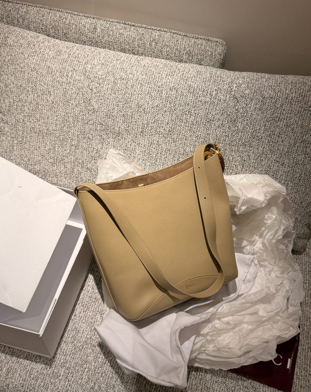 Dior Medaillon Bucket Shoulder Bag — back