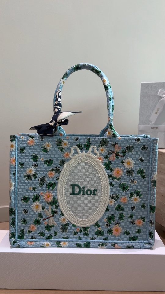 Dior Book Tote Light Blue Floral Bag — front