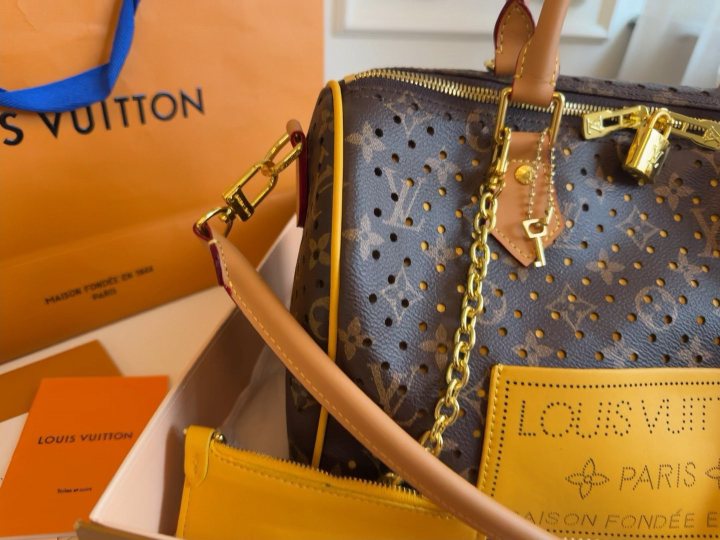 Louis Vuitton Speedy Monogram Boston Bag — detail