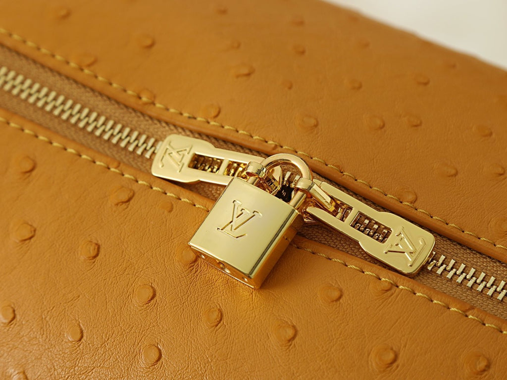 Louis Vuitton Express Dotted-Texture Shoulder Bag — detail