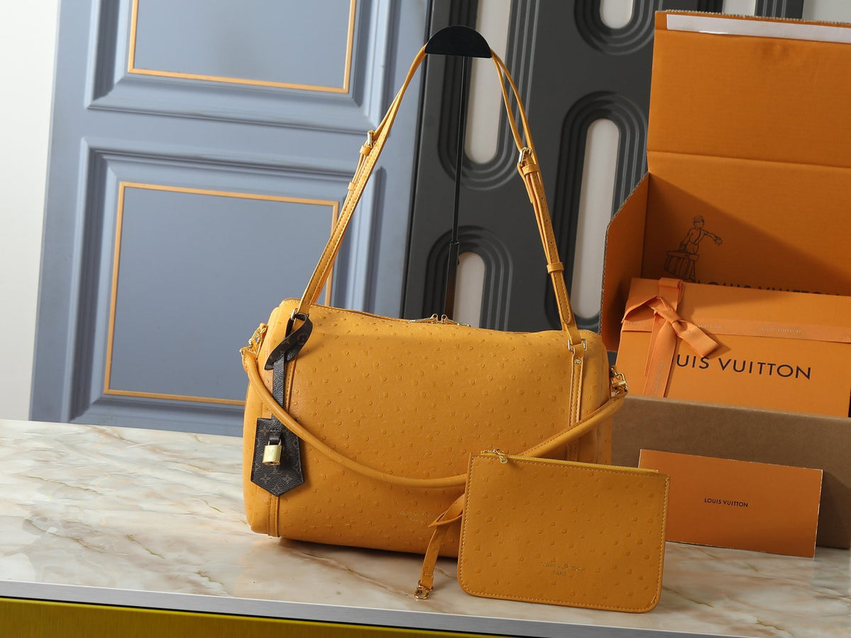 Louis Vuitton Express Dotted-Texture Shoulder Bag — front