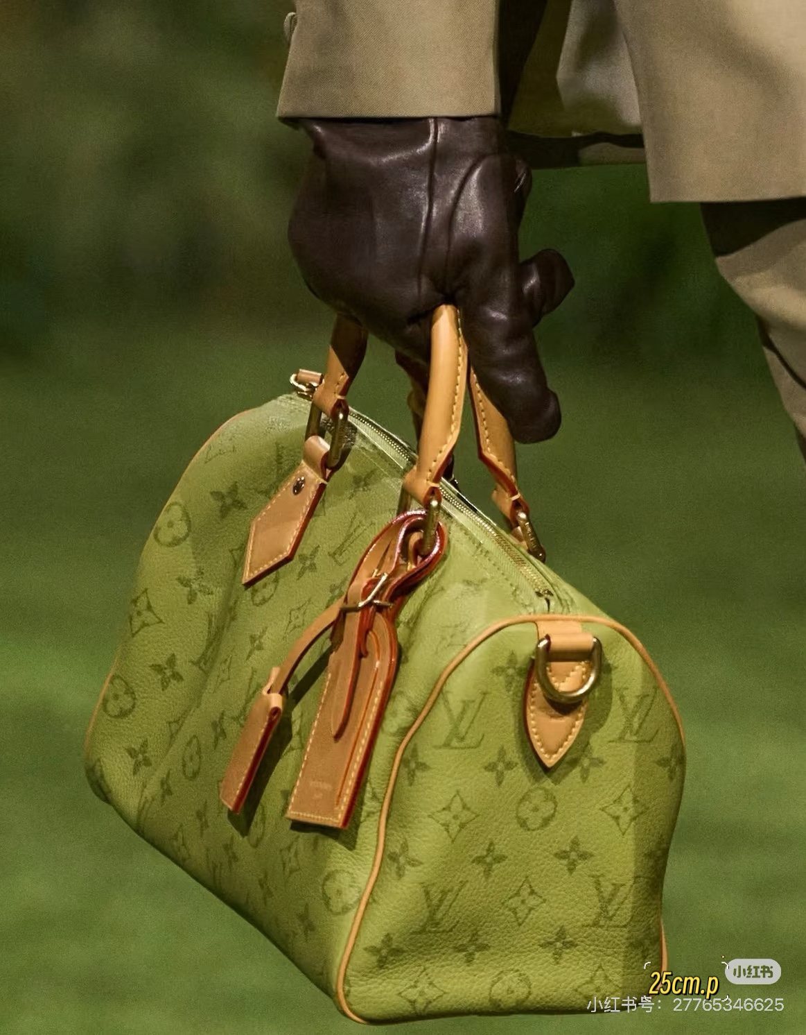 Louis Vuitton Speedy Monogram Barrel Handbag — model
