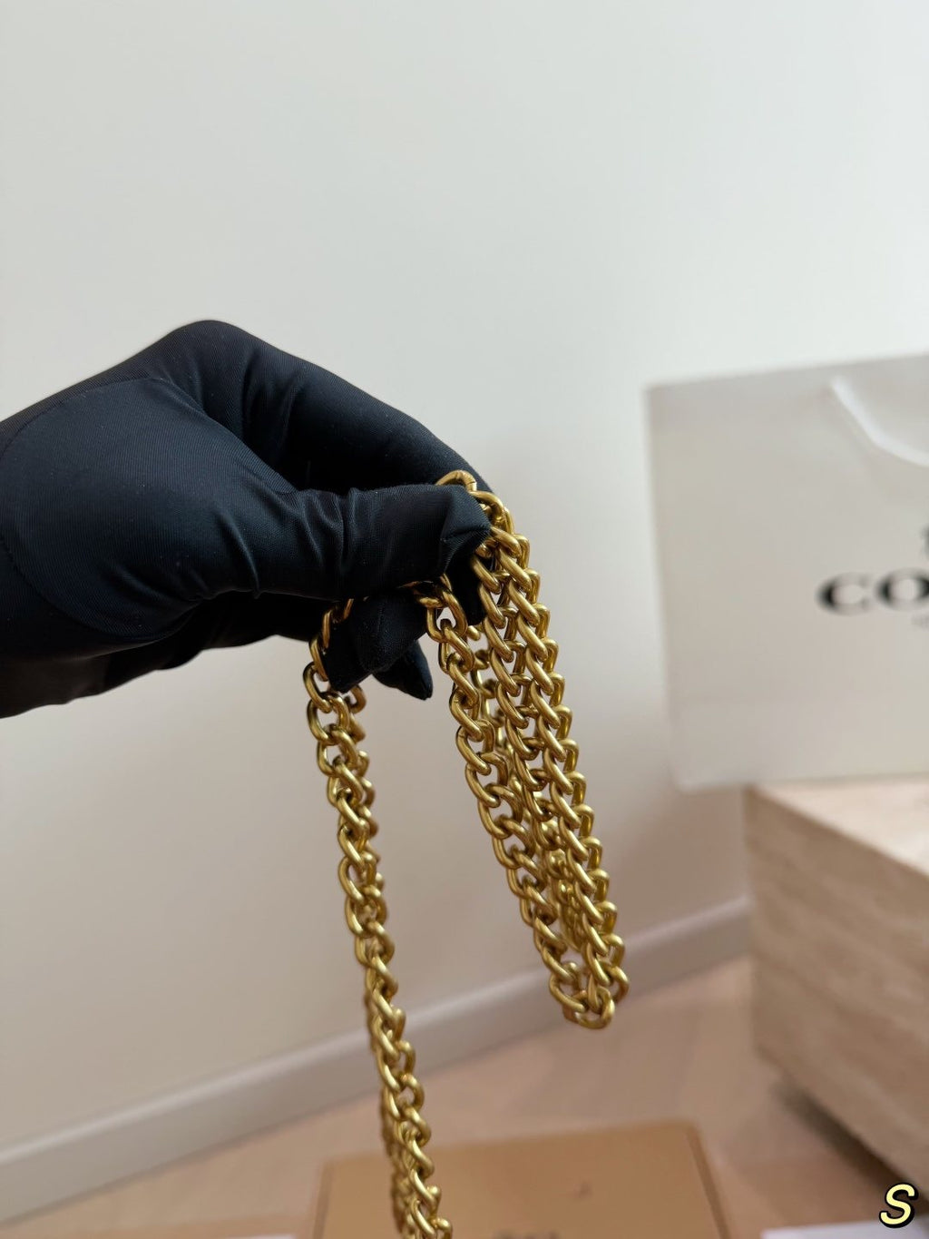 Coach Lana Charm Chain Handbag — detail
