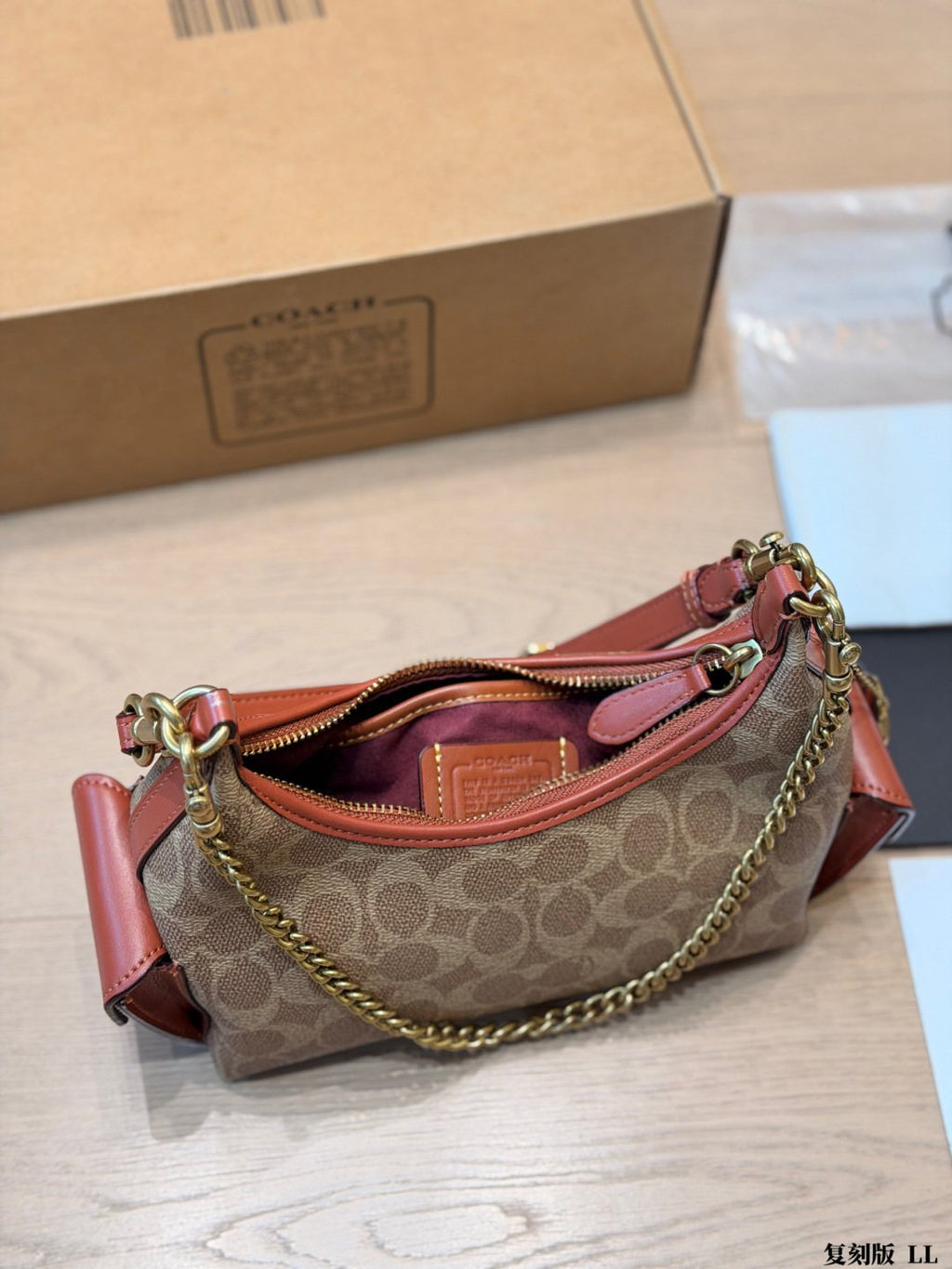 Coach C-Pattern Chain Hobo Bag — detail