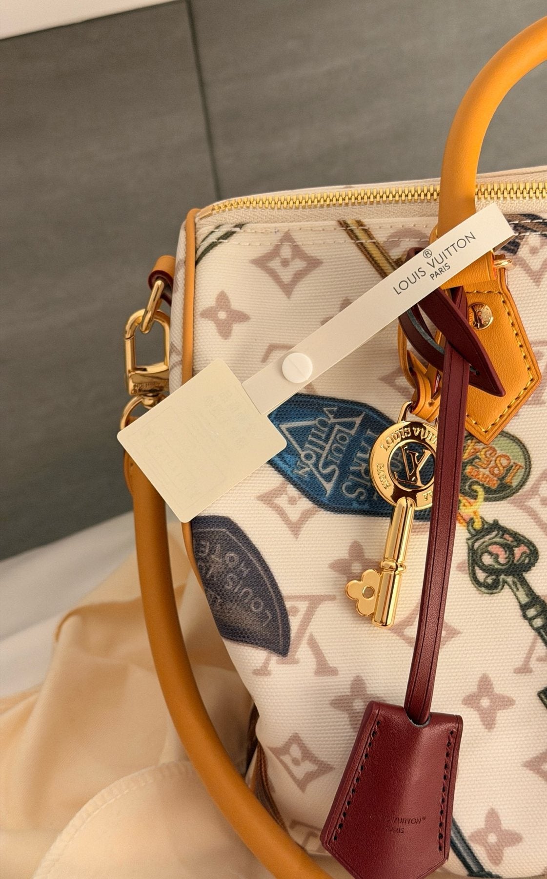 Louis Vuitton Speedy Flight Mode Printed Satchel — detail