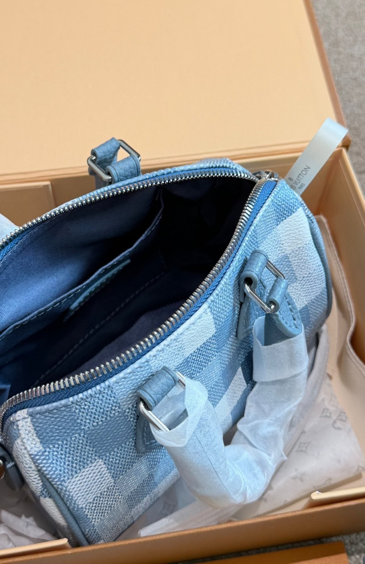Louis Vuitton Speedy Blue Checker Satchel — detail
