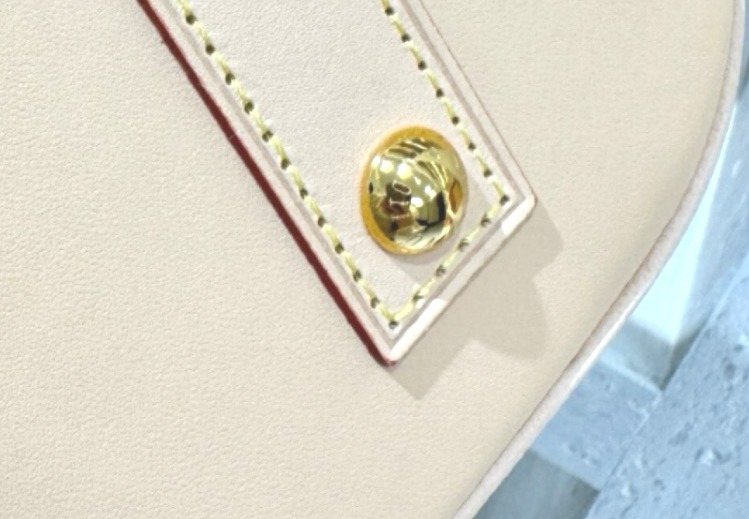 Louis Vuitton Domed Top-Handle Bag — detail