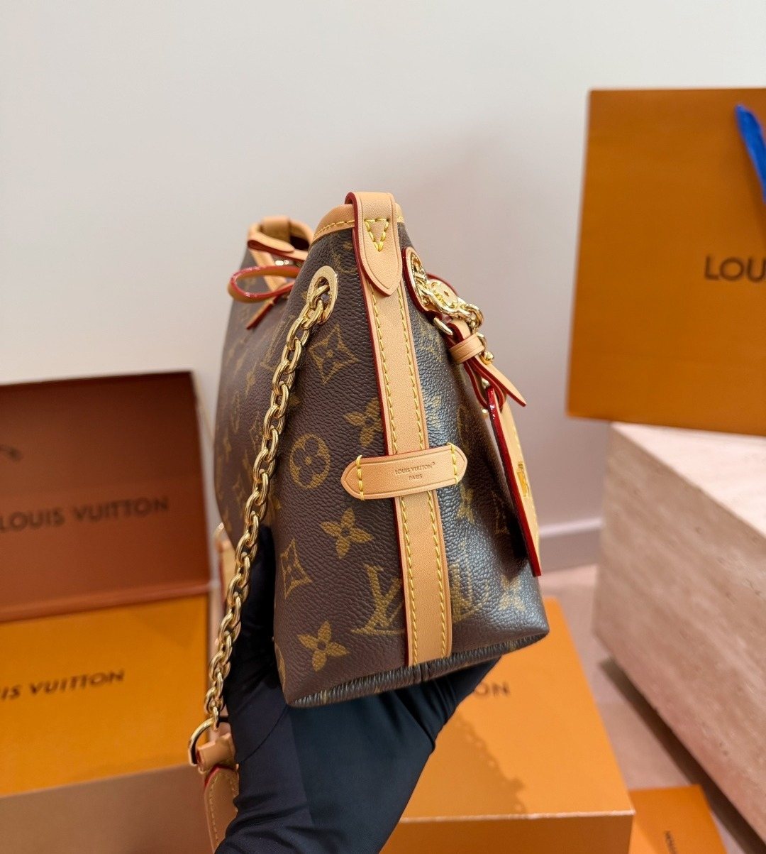 Louis Vuitton Carryall BB Monogram Shoulder Bag — side