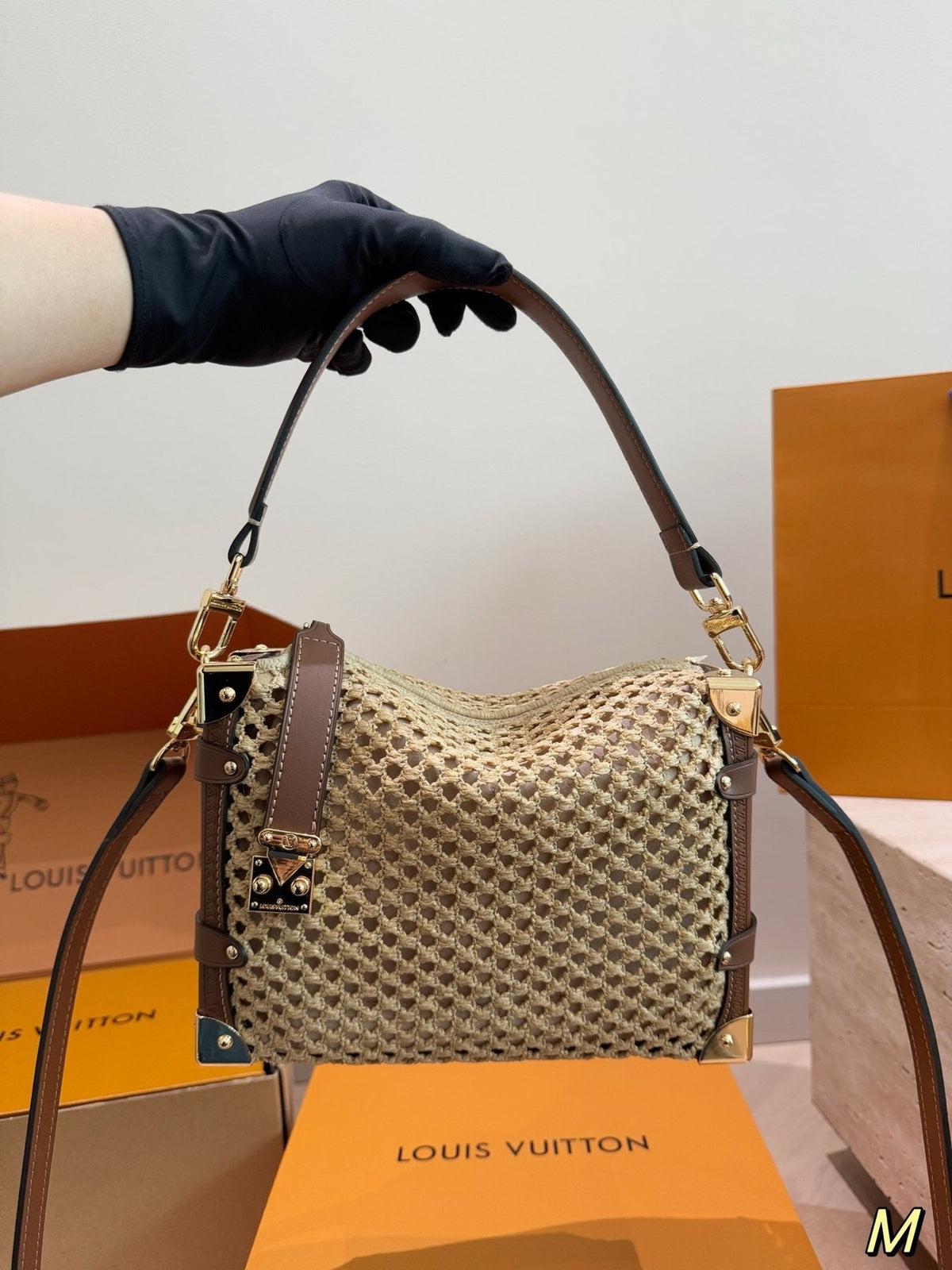 Louis Vuitton Woven Rectangular Top-Handle Bag — model
